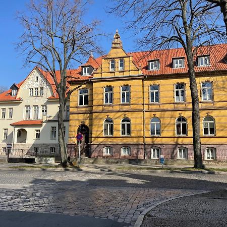 Apartment Zur Wiege Anhalts Балленштедт Экстерьер фото